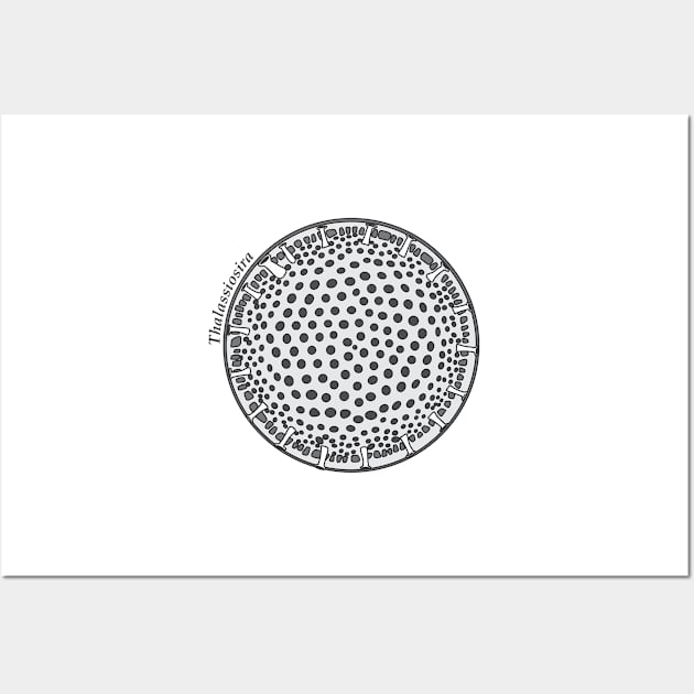 Diatom - Thalassiosira (scientific) Wall Art by DiatomsATTACK